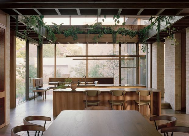 A spacious open-plan kitchen and dining area with a long timber island, integrated sink and tap, upholstered bar stools, and a large dining table in the foreground. Full-height glazing, exposed dark timber ceiling beams, timber-framed doors, pale masonry walls, and an overhead timber mezzanine or bridge with abundant trailing plants create a warm, biophilic interior. The room is bright and connected to landscaped exterior views.