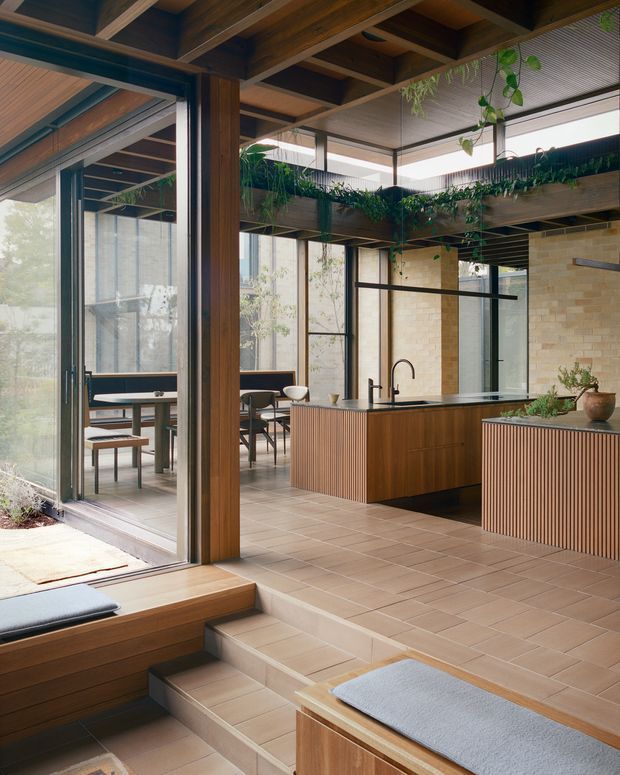 A warm, contemporary open-plan kitchen and dining area with extensive floor-to-ceiling glazing, dark metal-framed doors and windows, timber ceiling beams, timber cabinetry with fluted fronts, and a pale brick feature wall. A large island with an integrated sink anchors the kitchen, while raised timber seating platforms and multiple steps connect the spaces. Hanging and trailing plants add greenery beneath a planted overhead timber structure.