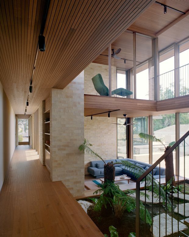 A tall, light-filled contemporary interior showing a timber-lined corridor and mezzanine overlooking a sunken living area. Full-height glazing, pale stone masonry walls, timber floors and ceilings, black track lighting, indoor planting, and a sculptural blue sectional sofa create a warm, open multi-level space. A stair balustrade and upper-level glass enclosure are visible.