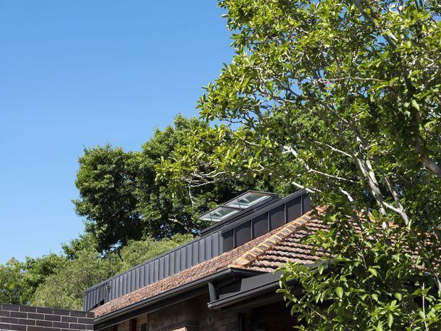Partial exterior view of a residential building set among mature trees, showing a terracotta tiled pitched roof, dark vertical metal cladding to an upper addition, dark gutters and fascia, and roof-mounted skylights. The clear blue sky and leafy vegetation frame the architecture.