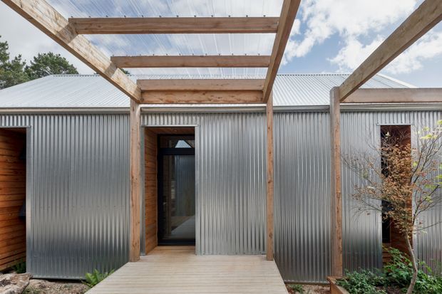 Exterior view of a contemporary building with corrugated metal wall cladding and a low-pitched corrugated metal roof. A timber-framed pergola or covered walkway with translucent roofing leads to dark-framed glazed entry doors, with warm timber lining visible at the recessed openings and landscaped planting around the path.