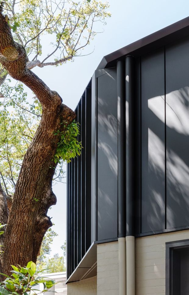 Close-up exterior architectural photograph of a contemporary dark-clad building beside a mature tree. The facade features tall vertical dark panels, prominent cylindrical downpipes, sharp roof overhangs, and a contrasting pale rendered or painted brick lower wall. Dappled sunlight and tree shadows fall across the facade.