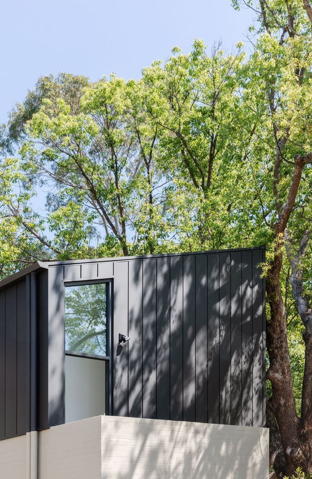 Exterior view of a compact modern building nestled among mature trees. The facade features dark charcoal vertical panel cladding, a tall narrow window with a dark frame and frosted lower section, and a light painted brick masonry base. Strong dappled sunlight and tree shadows create a natural, woodland setting.