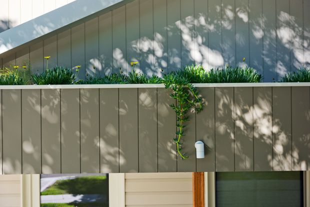 Close-up exterior view of a contemporary building facade with vertical grey-beige cladding, a sloping roof edge, landscaped planter beds, and a climbing plant. Partial glazing and a timber-framed entry or window are visible at the base, with strong dappled sunlight and tree shadows across the facade.