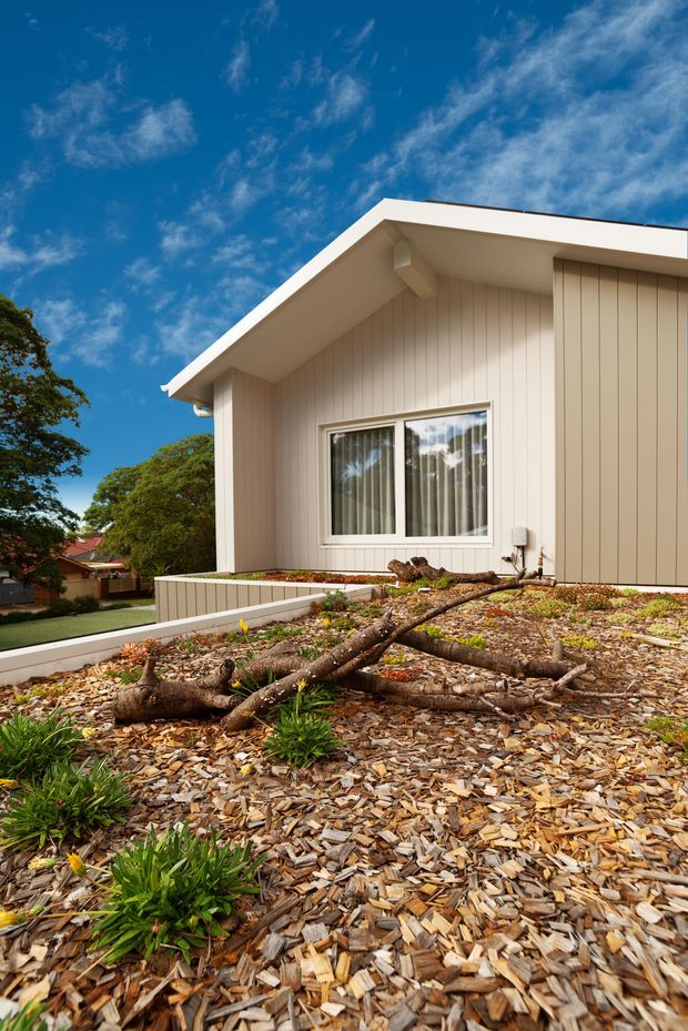 Exterior architectural photograph of a single-storey residential building with light beige vertical cladding, a prominent gable roof, white fascia and trim, and a rectangular window. The foreground shows a landscaped sloping garden bed covered in wood-chip mulch with low plants and fallen branches. Mature trees and neighbouring homes are visible in the background beneath a bright blue sky.