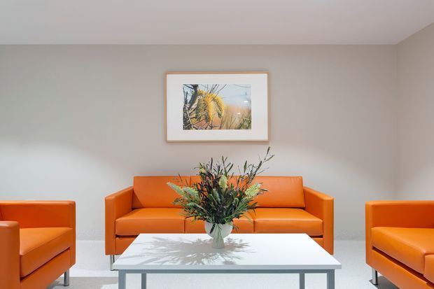 A clean, symmetrical lounge seating area with a bright orange leather sofa and matching armchairs arranged around a simple rectangular coffee table. The room has warm light-grey walls, a pale floor, recessed ceiling lighting, and a framed botanical artwork above the sofa. A vase of tall foliage forms the central accent on the table.
