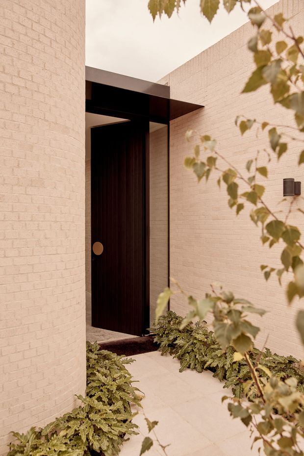 A narrow landscaped entry courtyard leading to a tall, dark timber front door. Pale exposed brick walls form a sheltered passage, with a projecting dark metal canopy and discreet wall light. Low planting borders a light paved walkway, while leafy branches frame the foreground.