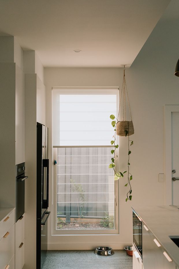 A narrow, softly lit contemporary kitchen with tall white built-in cabinetry and integrated black appliances on the left, a pale stone island or benchtop on the right, and a large window with layered roller blinds at the rear. A hanging woven planter with trailing greenery adds a natural accent, while the muted speckled floor and warm off-white walls create a calm, minimal atmosphere. Pet bowls are visible near the window.