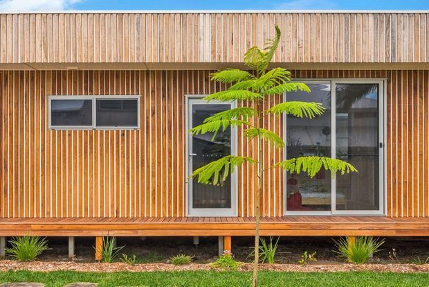 A single-storey contemporary building facade clad in warm vertical timber slats, with a raised timber deck, large glazed doors and windows, and a simple flat roofline. Low native-style landscaping and a young tree sit in front of the elevated structure.