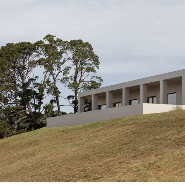 Exterior view of a minimalist, single-storey flat-roofed building set into a gently sloping grassy site. The long pale rendered facade has a deep covered veranda or colonnade with regularly spaced square columns and recessed rectangular windows. Mature trees frame the building on the left.