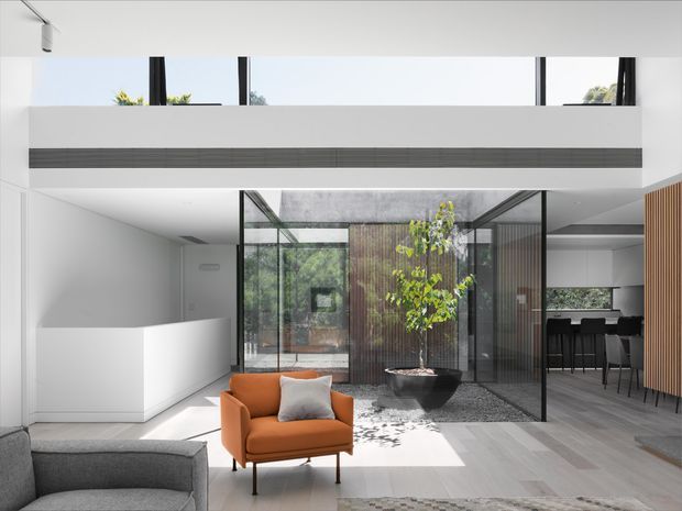 A bright contemporary open-plan interior centered on a glazed internal courtyard with a potted tree. The double-height space has white walls and ceilings, expansive black-framed glazing, pale grey timber-look flooring, a floating mezzanine or upper-level bridge with dark horizontal cladding, and vertical timber screening at right. An orange lounge chair and grey seating add restrained colour, while a kitchen and dining area are visible beyond the glazing.