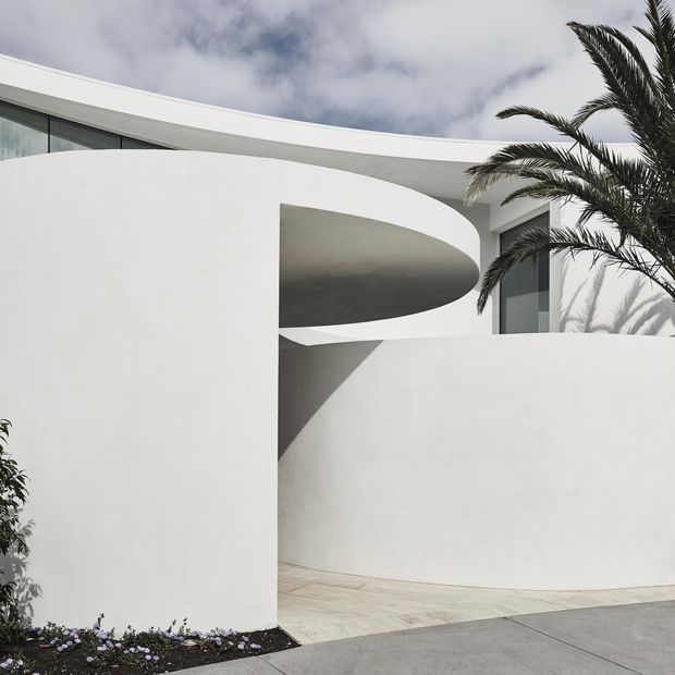 A minimalist white modern house facade with sculptural curved walls, a sweeping flat roofline, deep recessed openings, and tall dark-framed glazing. Pale paving leads toward the entrance, with palm planting beside the building. The image emphasises smooth white surfaces, geometric curves, and strong light-and-shadow contrasts.