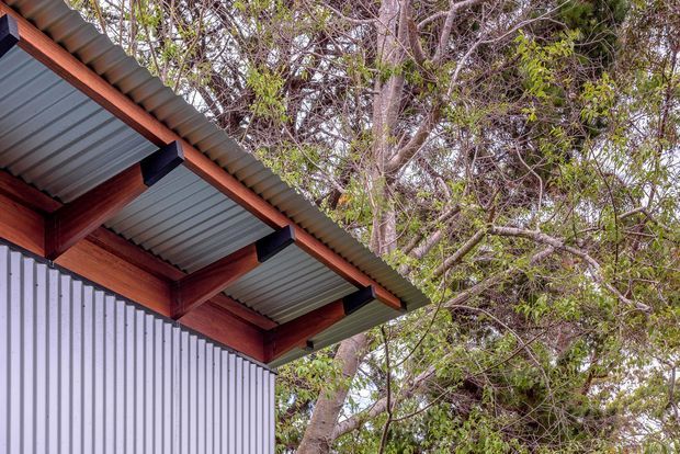 Close-up exterior view of a building corner showing a corrugated metal lean-to roof with exposed dark structural brackets and reddish timber beams. Vertical corrugated metal wall cladding occupies the lower left, while mature trees surround the structure in the background. The image highlights the roof edge, timber-and-metal construction, and integration with a leafy site.
