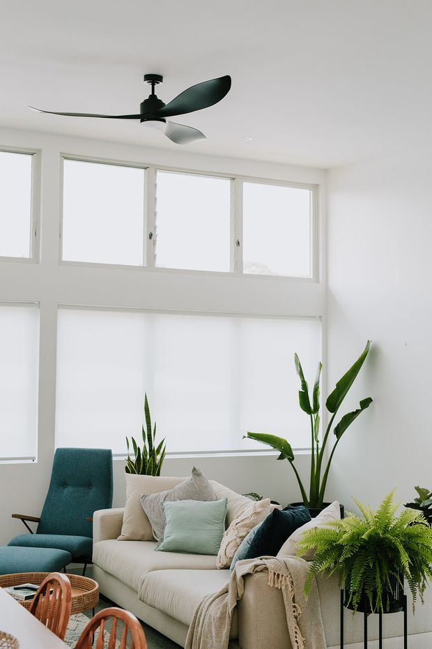 Bright, airy living room with large white-framed windows fitted with roller blinds, a cream sofa layered with cushions and throws, a teal lounge chair, indoor tropical plants, and a black sculptural ceiling fan. The room has a clean contemporary feel with abundant natural light and a neutral palette accented by teal and greenery.