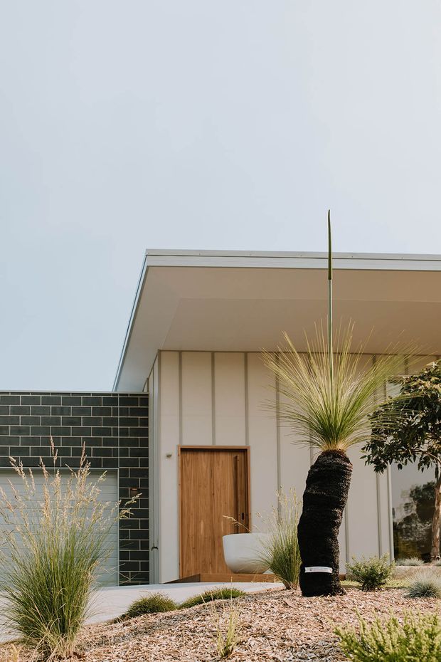 A contemporary single-storey home exterior with a broad flat-roofed entry canopy, vertical pale cladding, a warm timber front door, and a dark charcoal brick feature wall. The landscaped forecourt uses gravel mulch, ornamental grasses, drought-tolerant planting, and a sculptural palm. The image is framed from outside and focuses on the facade and entry landscaping.