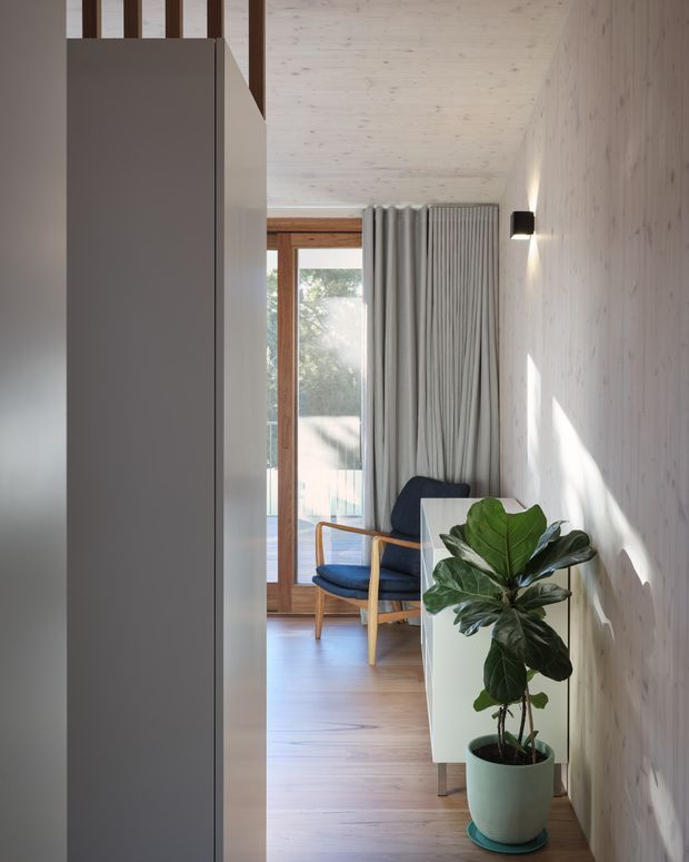 A narrow, serene interior passage or living area with pale timber wall and ceiling lining, warm timber flooring, a full-height grey built-in partition or cabinetry wall, and a wood-framed glazed door opening to a balcony or exterior. A blue mid-century-style armchair sits beside layered grey curtains, while a white console and large potted plant add furnishings in the foreground. Natural light creates soft shadows across the space.
