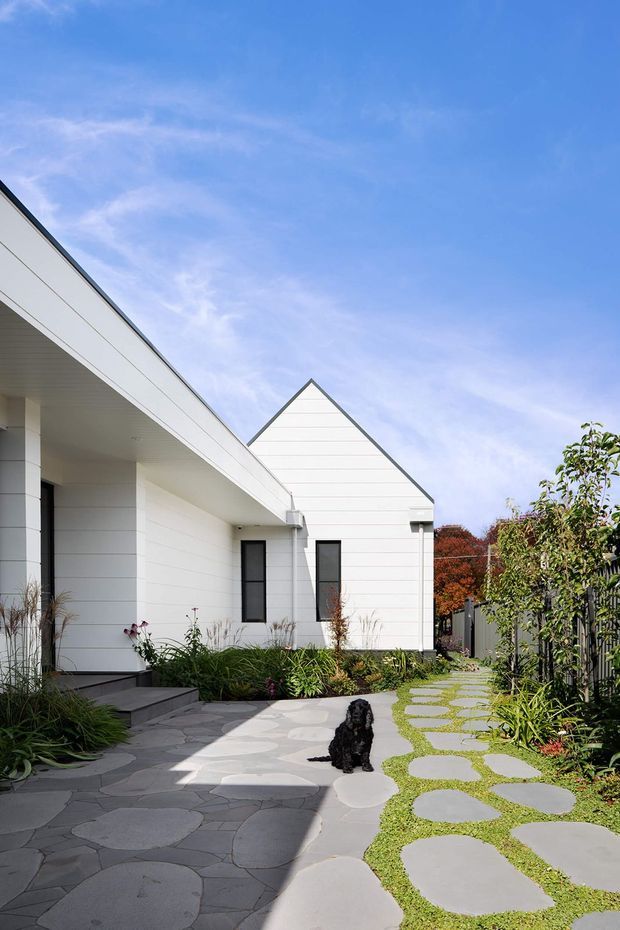 Exterior view of a clean-lined white house with horizontal cladding, a prominent gabled volume, and a broad covered entry canopy supported by simple square columns. The foreground features an irregular grey stone-paved courtyard and a stepping-stone garden path through low ornamental planting, with fencing and mature vegetation along the boundary. A small black dog is present in the courtyard.