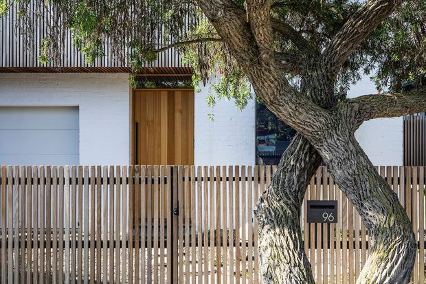 Street-facing view of a contemporary residential facade with a white rendered masonry garage wall, warm timber entry door, vertical timber slat fencing, and dark vertical metal cladding above. A mature tree dominates the foreground, partially screening the entrance and garage. The composition has clean lines and a restrained natural material palette.