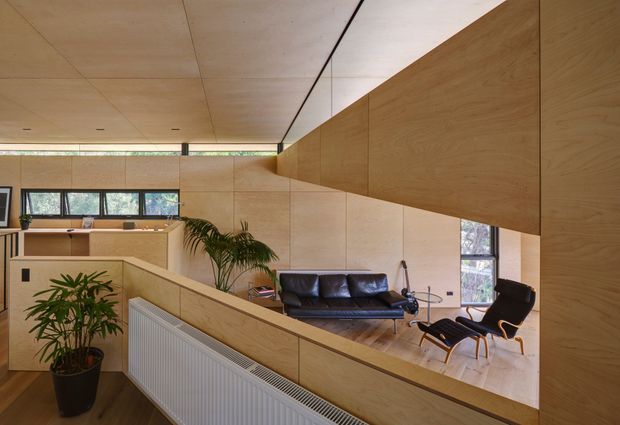 Warm contemporary split-level interior with extensive light timber wall, ceiling, cabinetry and balustrade surfaces. The view looks across a living room with a black leather sofa, lounge chair and coffee table, while a compact kitchen or kitchenette and dining/work area are visible at the upper level. A large angled timber-clad overhead volume and open stair or landing create strong architectural geometry. Indoor plants and large windows add natural light.