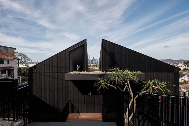Exterior view of a striking dark-clad residential building with two sharply angled, asymmetrical roof forms and a recessed central entry. A rooftop planter with sculptural dracaena plants sits above the entrance, while black metal fencing and a timber-toned entry deck frame the foreground. Dense suburban housing and a distant city skyline are visible beyond the building.