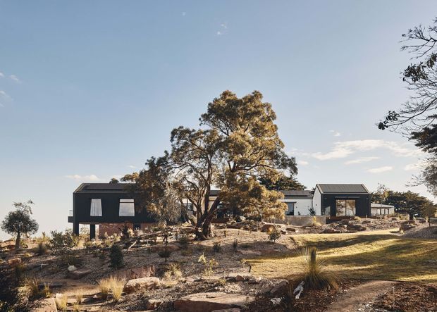 Single-storey contemporary residential buildings arranged across a gently sloping, sparsely landscaped site. The dark-clad main volume has a low pitched roof and large rectangular windows, while a lighter connecting volume and detached-looking garage or secondary pavilion sit to the right. Native trees, grasses, exposed rock and dry earth surround the house under clear daylight.