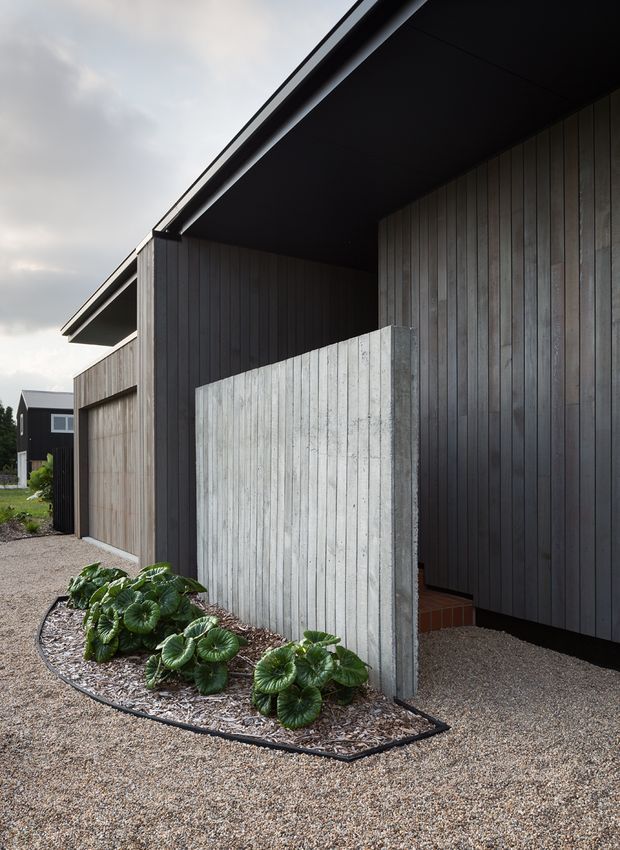 Exterior view of a contemporary low-profile building with dark vertical timber cladding, a broad black roof overhang, and a pale board-formed concrete privacy wall. A gravel path and landscaped planting border the entry, with another dark-clad building visible in the background.
