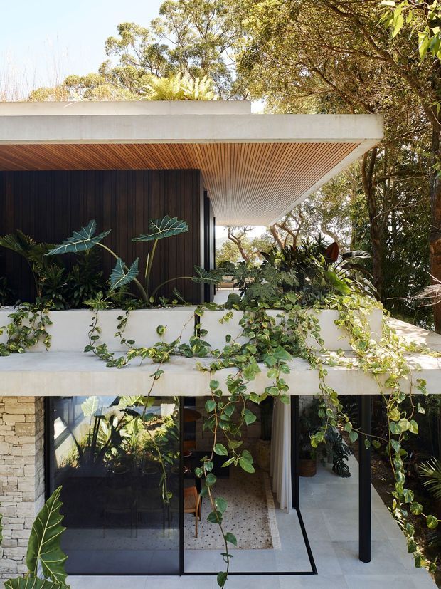 A lush, modern two-level residential exterior with strong indoor-outdoor connection. The building features broad flat concrete slabs, a warm timber-lined soffit, dark vertical wall cladding, extensive glazing, pale stone masonry, and black slender frames. Dense tropical planting and trailing vines soften the terraces and facade.