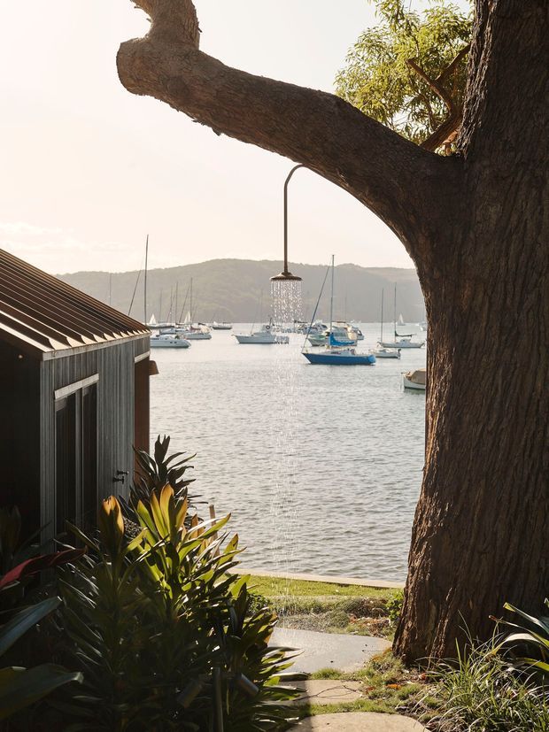 A tranquil waterfront exterior view framed by a large mature tree, tropical planting, and a small dark-clad shed or cottage structure. A suspended outdoor shower hangs from a tree branch in the foreground, overlooking a calm marina with sailboats and wooded hills beyond. The scene has a relaxed coastal garden setting and warm natural light.