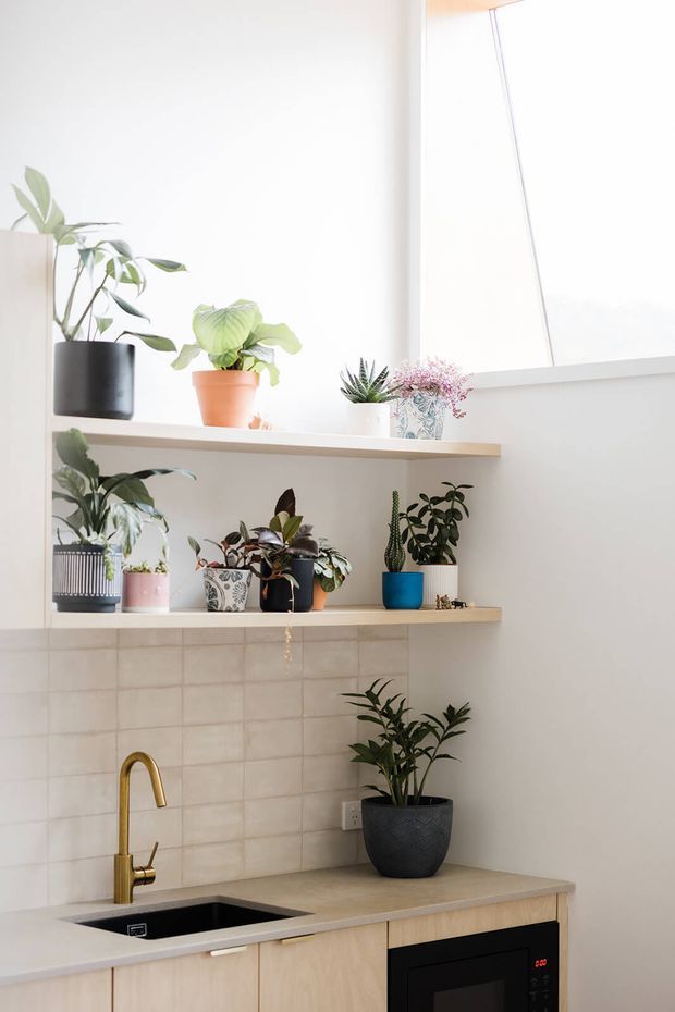 Bright, compact kitchen with a pale timber-look benchtop and cabinetry, black undermount sink, brass gooseneck tap, tiled splashback, open timber shelves displaying numerous potted plants, and a built-in black microwave. A large window provides abundant natural light.