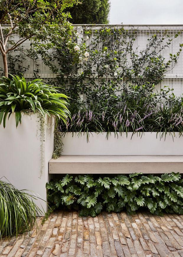 A lush landscaped courtyard or garden nook with a built-in white planter and bench. Dense green foliage and flowering plants grow against a white gridded trellis wall, with a brick-paved ground surface and integrated planting beneath the bench. The composition is serene and highly botanical, with clean contemporary garden detailing.