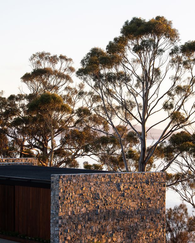 Partial exterior view of a low-profile modern building set among mature eucalyptus trees, with a dark flat roof, vertical timber-clad wall, and a prominent textured stone masonry wall. A body of water and distant landscape are visible through the trees, creating a natural waterfront setting.