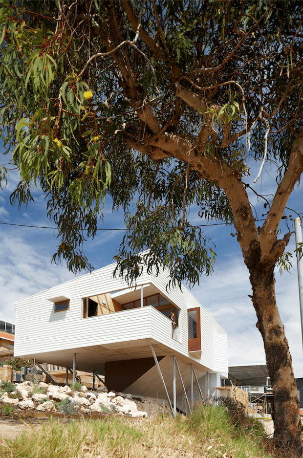 Exterior view of a raised contemporary house on a sloped rocky site, partially framed by a large eucalyptus tree. The two-storey structure has crisp white horizontal cladding, a sharply pitched folded roof form, extensive upper-level glazing, a projecting balcony, and open supports beneath the elevated living volume.