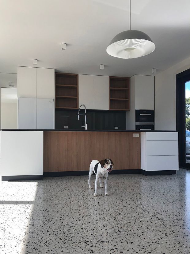 A bright contemporary kitchen with white flat-panel cabinetry, open dark timber shelving, a black splashback, integrated appliances, and a timber-faced island. The kitchen opens to a polished terrazzo floor and is illuminated by a sculptural pendant light and strong natural light from a glazed door or window. A dog is present in the foreground.