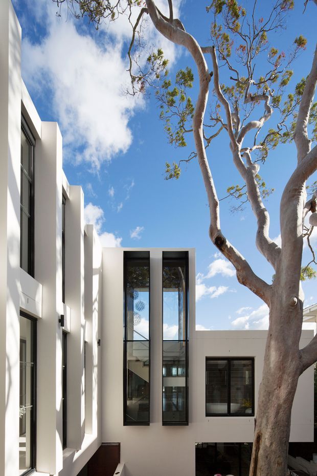 Vertical exterior architectural photograph of a contemporary white multi-level residence arranged around a narrow courtyard or lightwell. The facade features crisp geometric forms, deep window reveals, extensive tall black-framed glazing, and a double-height glazed opening. A mature smooth-barked tree dominates the foreground, with blue sky and scattered clouds visible above.