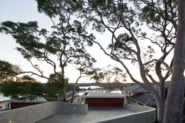Exterior architectural view of a contemporary residential property, showing a curved concrete driveway and retaining walls leading to a double garage. Large mature eucalyptus trees frame the scene, with neighbouring pitched-roof homes and a distant water view visible beyond.