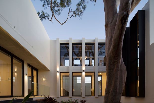 Contemporary multi-storey courtyard-facing facade viewed from an outdoor area, with crisp white rendered walls, tall black-framed glazing, projecting vertical fins, and a prominent mature tree integrated into the foreground. Warm interior lighting and reflected branches add depth to the minimalist composition.