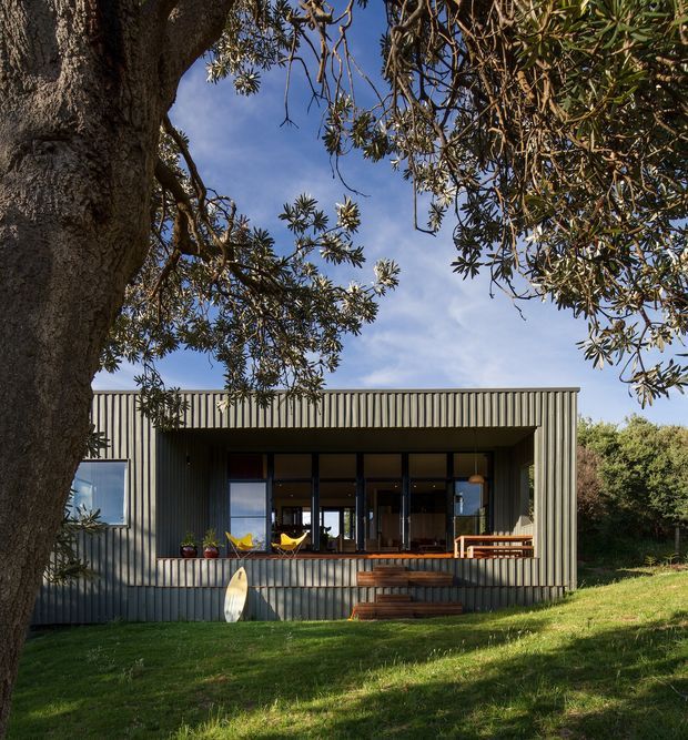 A single-storey contemporary house set within a leafy garden, viewed from the lawn. The compact rectangular facade is clad in vertically ribbed grey metal, with a broad recessed glazed opening leading to a raised timber deck and outdoor seating. A smaller window sits to the left, while a large mature tree frames the foreground and dense planting surrounds the building.