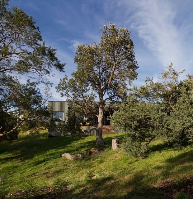 A low-profile contemporary dwelling is partially concealed among mature trees and native landscaping. The building appears to use corrugated metal cladding with large glazed openings and a timber-toned deck or facade element. The scene is a sunlit, leafy garden setting with a blue sky and informal grassy ground.
