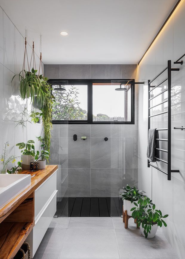 Bright contemporary bathroom with a walk-in shower, large black-framed window, grey tiled walls and floor, white tiled side wall, black shower and heated towel rail, and a timber vanity with white cabinetry. Hanging and potted plants add a natural accent, while warm concealed strip lighting highlights the ceiling edge.