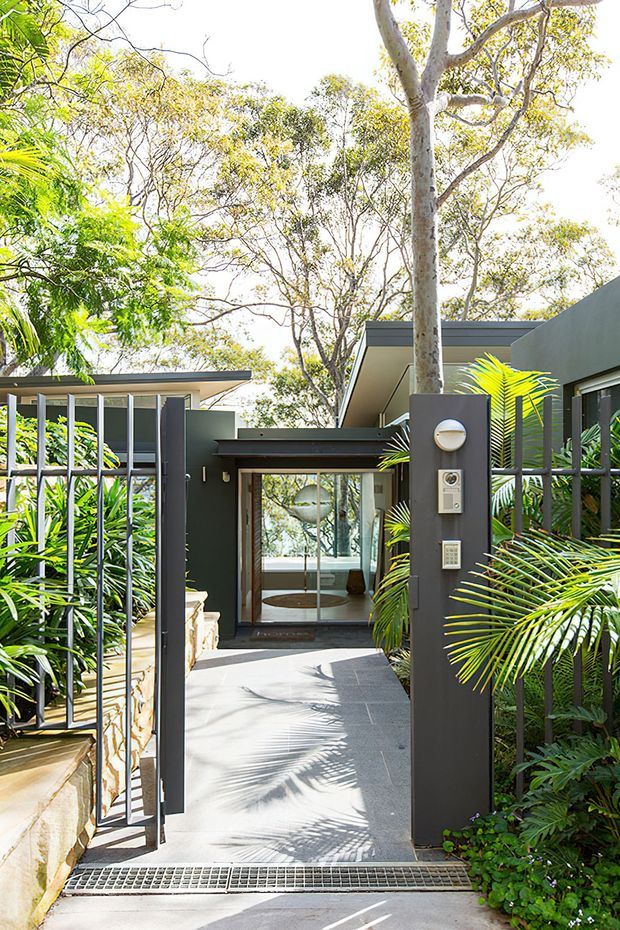 A modern residential entrance viewed from outside, with a dark rendered facade, flat rooflines, glazed entry doors, minimalist metal gate, concrete walkway, and integrated entry lighting/intercom. Dense tropical and subtropical planting surrounds the path, with mature trees rising above the low building.