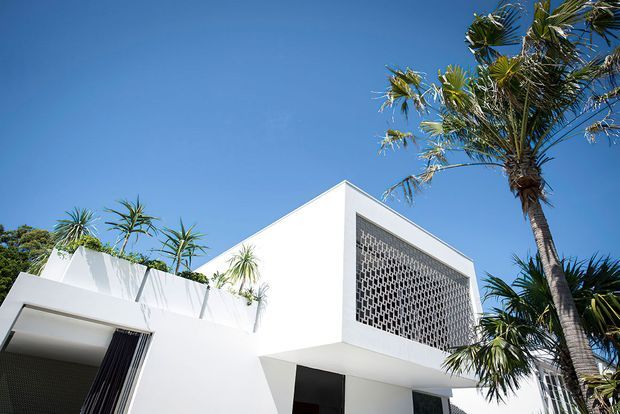 Low-angle exterior view of a crisp white contemporary residence under a clear blue sky. The building has strong geometric forms, a steep triangular gable-like facade, deep roof overhangs, a shaded recessed entry, and a prominent patterned breeze-block screen. Tropical palms and spiky architectural planting surround the house.