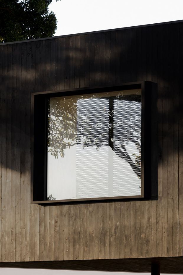 Close-up exterior architectural detail of a dark timber-clad wall with a projecting black-framed rectangular window. The glazing reflects surrounding trees and features a perforated or dotted privacy screen, creating a layered, textural facade composition.