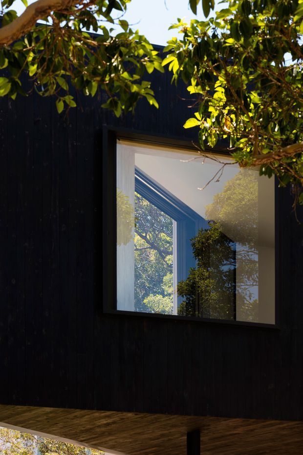 Close-up exterior architectural view of a dark timber-clad building beneath leafy tree branches. A large square window reflects and reveals a bright interior with blue-toned framing and surrounding greenery. The image also shows a projecting timber soffit or deck edge supported by a dark structural post, creating a strong contrast between the black facade, warm wood underside, glazing, and vegetation.