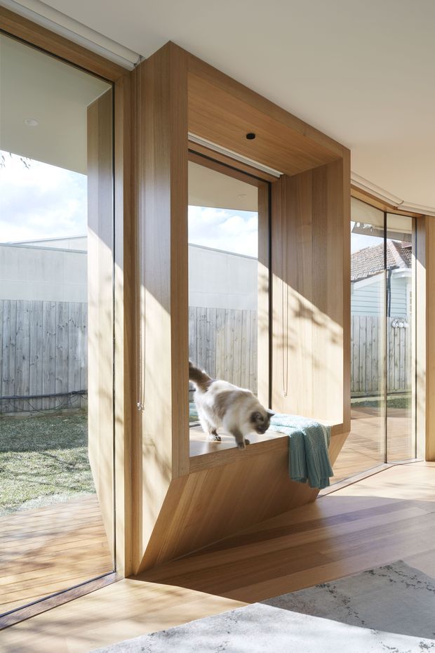 Bright contemporary interior featuring a built-in timber window seat and framed timber surround integrated into full-height glazing. The warm wood joinery includes a projecting boxed canopy and angled supporting base, with a small cat resting on the seat. The glazing opens to a fenced garden and deck, while a pale rug and light neutral walls create an airy residential setting.