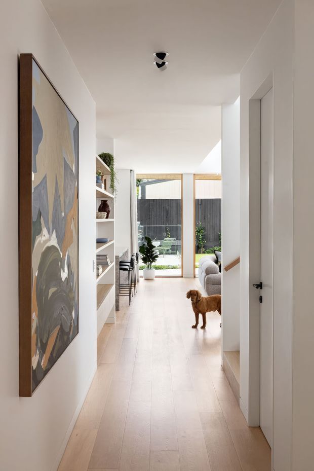 A bright, minimalist residential hallway looking toward an open living area and rear courtyard. The corridor features white plaster walls and ceiling, pale timber flooring, a large framed abstract artwork, open built-in shelving, and white paneled doors with timber handles. Floor-to-ceiling glazing at the far end brings in natural light, with a small dog standing near a light upholstered sofa.