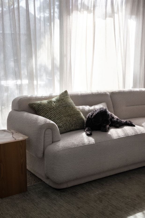 A softly lit living room featuring a large cream upholstered sofa with rounded, sculptural arms and base, a textured olive-green cushion, and a dark dog resting on the seat. Sheer white curtains filter strong daylight behind the sofa, while a small dark timber side table and textured dark rug complete the calm, neutral interior.