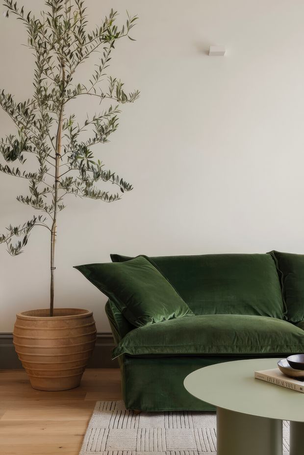 A calm, refined living room vignette featuring a deep green velvet sofa with matching cushions, a pale round coffee table, light timber flooring, a cream textured rug, and a tall potted olive tree. The room has a plain warm off-white wall with subtle dark trim at the floor and minimal decor.