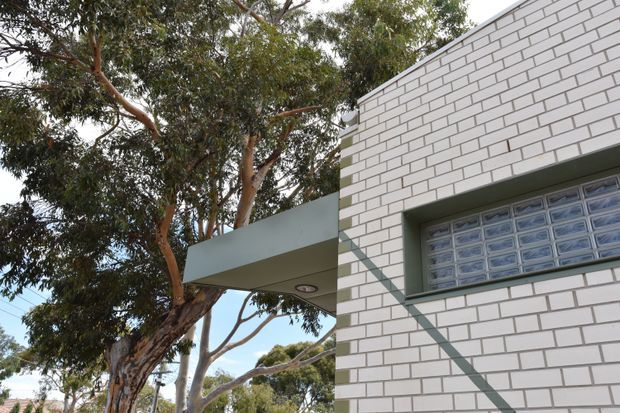 Close exterior architectural view of a contemporary building featuring pale grey-white brickwork, a projecting flat-roofed canopy, and a horizontal glass-block window set within a dark recessed frame. Mature eucalyptus trees surround the structure, creating a natural suburban setting.