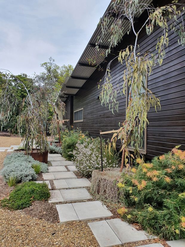 Exterior view of a dark horizontal timber-clad building beside a landscaped garden path. Large projecting corrugated metal eaves shade the facade, while square concrete stepping slabs lead through gravel and drought-tolerant planting. The image focuses on the building envelope and its planted approach.