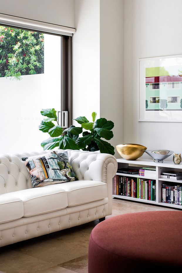 A bright, refined living room with a tufted cream leather sofa, colourful patterned cushions, a large leafy indoor plant, low white open shelving filled with books, and a burgundy upholstered ottoman in the foreground. Full-height glazing and a framed artwork bring additional light and colour into the space. The room has a polished, curated contemporary feel with warm neutral flooring and white walls.